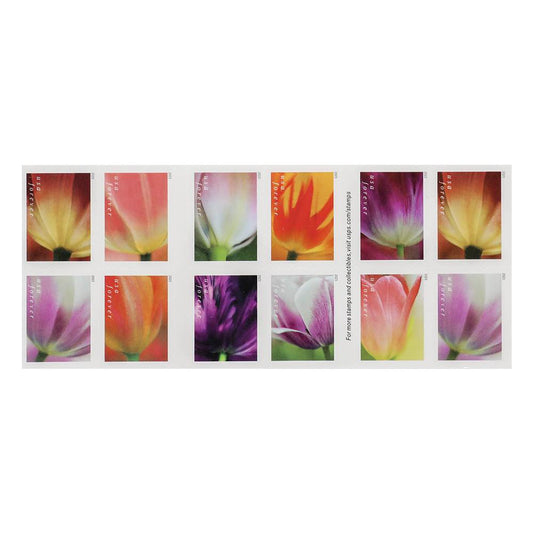 2023 US First-Class Forever Stamps – Tulip Blossoms booklet
