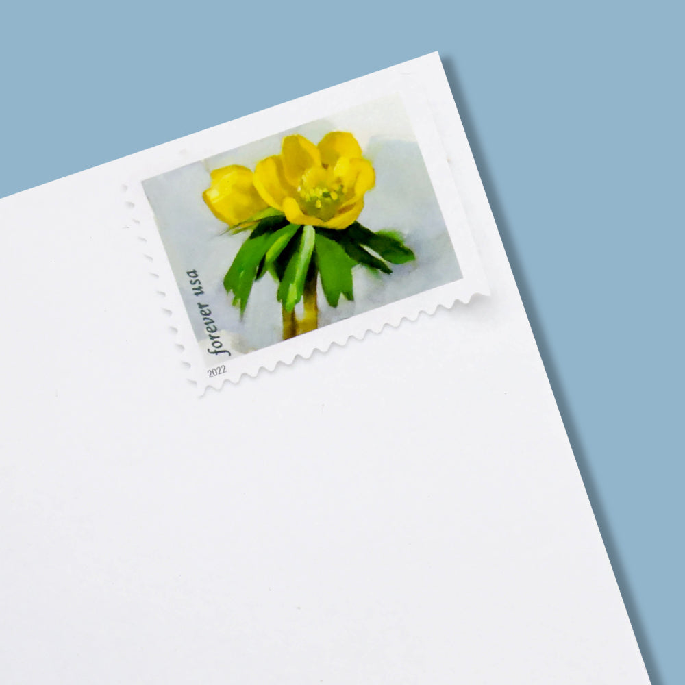 2022 First-Class Forever Stamp – Snowy Beauty: Winter Aconite