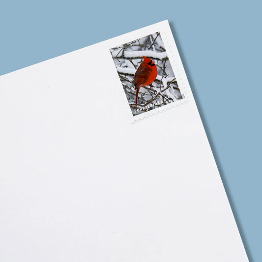 2020 US ‘Winter Scenes’ Forever Postage Stamps